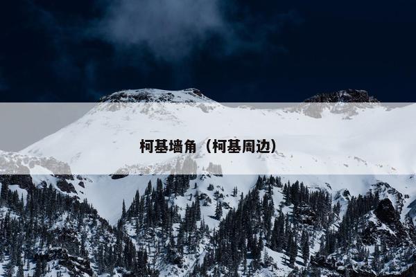 柯基墙角（柯基周边）