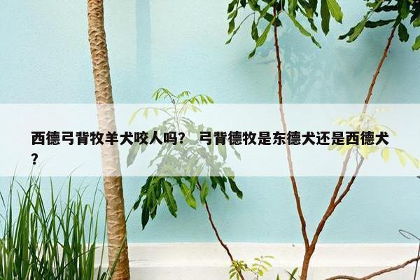 西德弓背牧羊犬咬人吗？ 弓背德牧是东德犬还是西德犬？