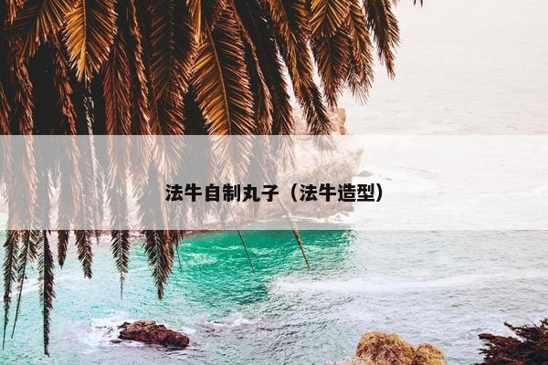 法牛自制丸子（法牛造型）