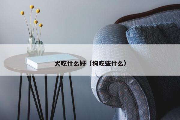 犬吃什么好（狗吃些什么）