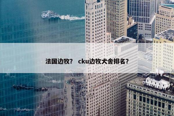 法国边牧？ cku边牧犬舍排名？
