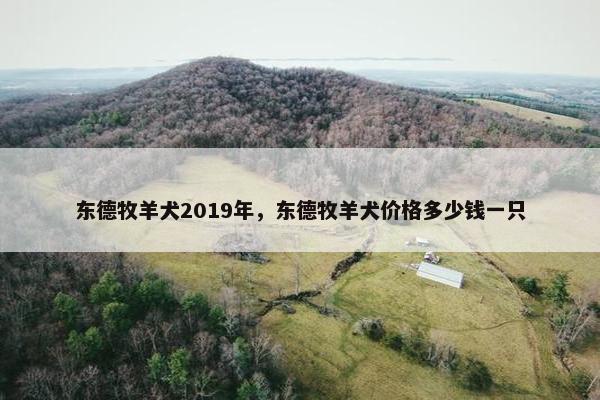 东德牧羊犬2019年，东德牧羊犬价格多少钱一只