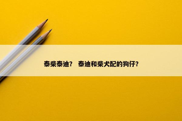 泰柴泰迪？ 泰迪和柴犬配的狗仔？