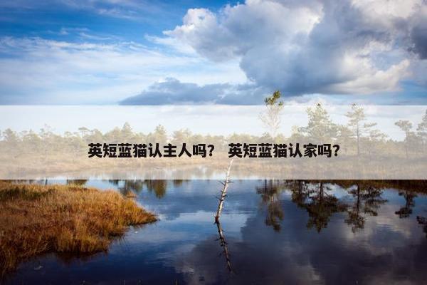 英短蓝猫认主人吗？ 英短蓝猫认家吗？