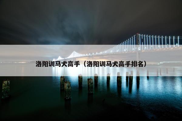 洛阳训马犬高手（洛阳训马犬高手排名）