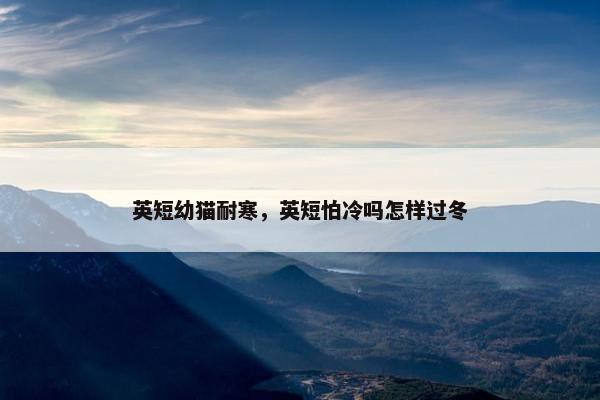 英短幼猫耐寒，英短怕冷吗怎样过冬
