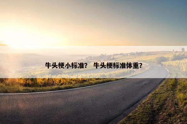 牛头梗小标准？ 牛头梗标准体重？
