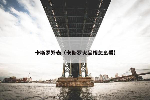 卡斯罗外表（卡斯罗犬品相怎么看）