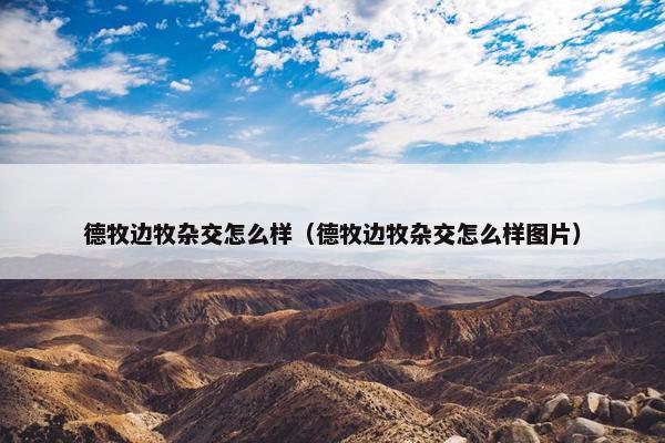 德牧边牧杂交怎么样（德牧边牧杂交怎么样图片）