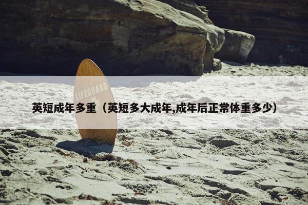 英短成年多重（英短多大成年,成年后正常体重多少）