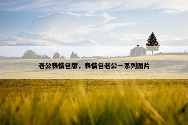 老公表情包版，表情包老公一系列图片