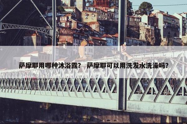 萨摩耶用哪种沐浴露？ 萨摩耶可以用洗发水洗澡吗？