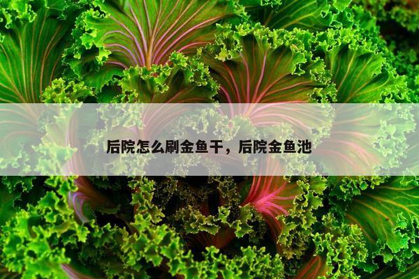 后院怎么刷金鱼干，后院金鱼池