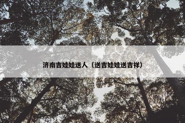 济南吉娃娃送人（送吉娃娃送吉祥）