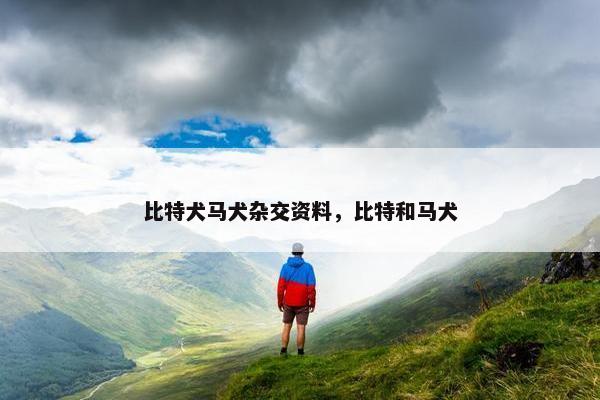 比特犬马犬杂交资料，比特和马犬