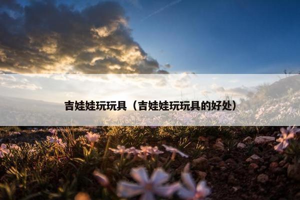 吉娃娃玩玩具（吉娃娃玩玩具的好处）