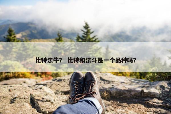 比特法牛？ 比特和法斗是一个品种吗？
