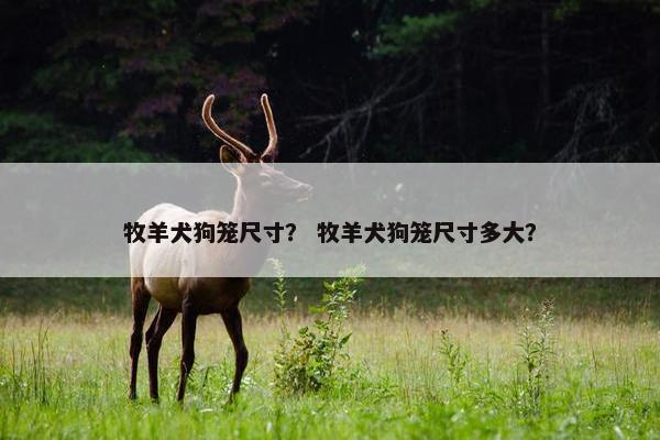 牧羊犬狗笼尺寸？ 牧羊犬狗笼尺寸多大？