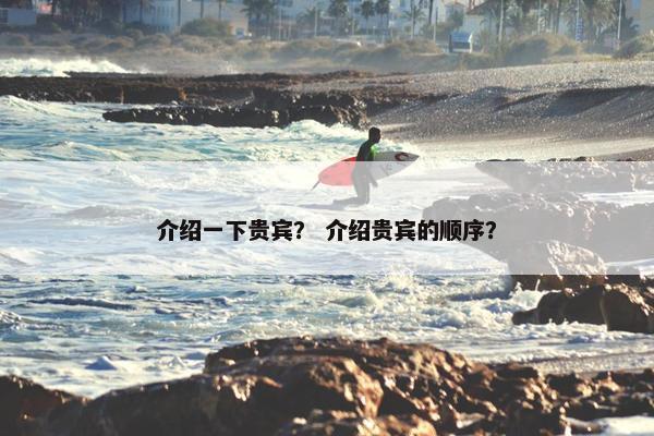 介绍一下贵宾？ 介绍贵宾的顺序？
