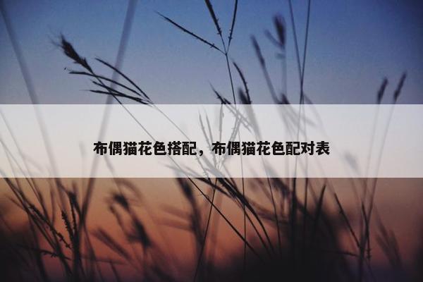 布偶猫花色搭配，布偶猫花色配对表