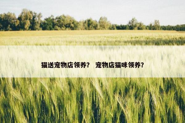 猫送宠物店领养？ 宠物店猫咪领养？