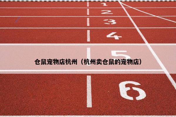 仓鼠宠物店杭州（杭州卖仓鼠的宠物店）