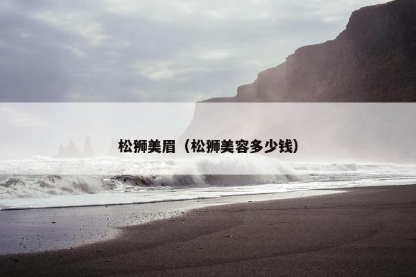 松狮美眉（松狮美容多少钱）