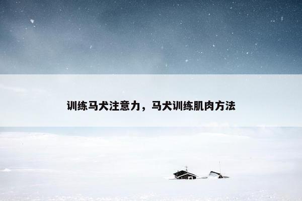 训练马犬注意力，马犬训练肌肉方法