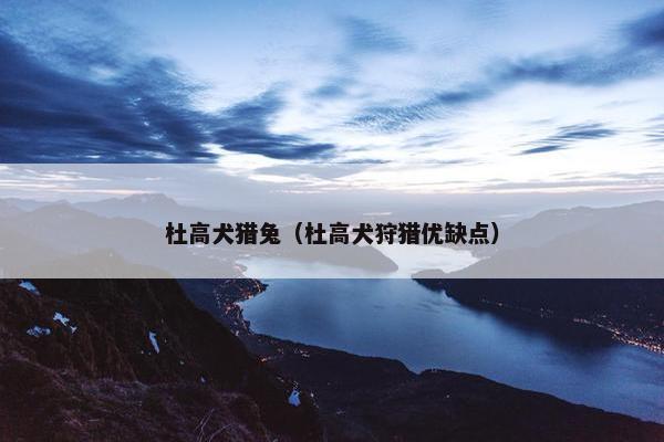 杜高犬猎兔（杜高犬狩猎优缺点）