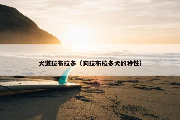 犬道拉布拉多（狗拉布拉多犬的特性）