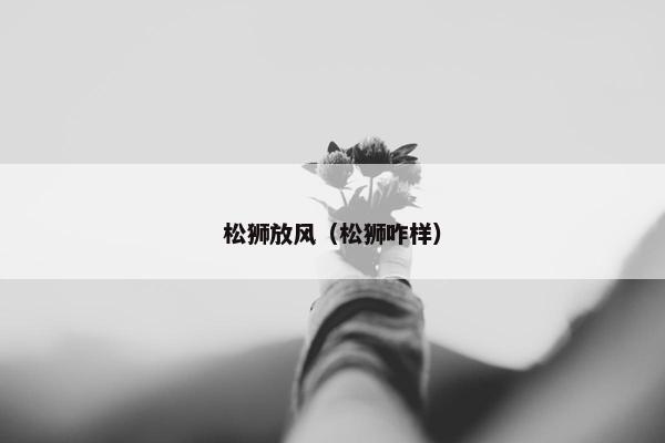 松狮放风（松狮咋样）