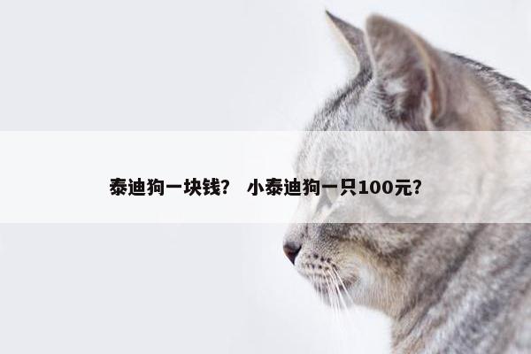 泰迪狗一块钱？ 小泰迪狗一只100元？