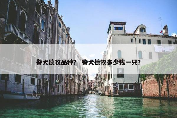 警犬德牧品种？ 警犬德牧多少钱一只？