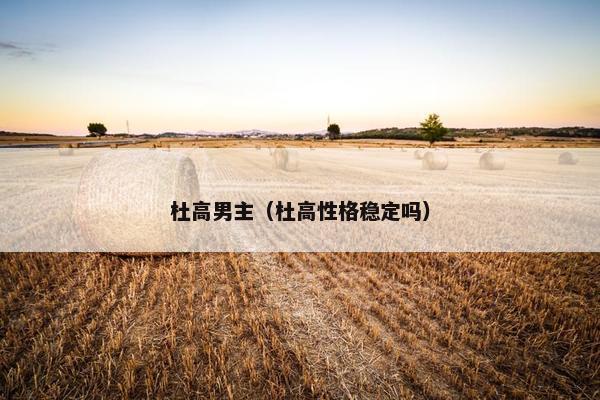 杜高男主（杜高性格稳定吗）