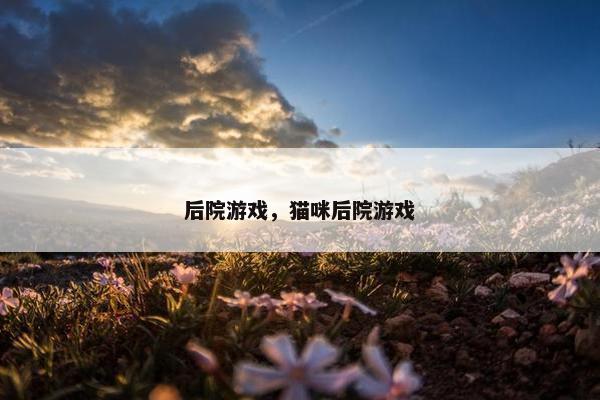 后院游戏，猫咪后院游戏