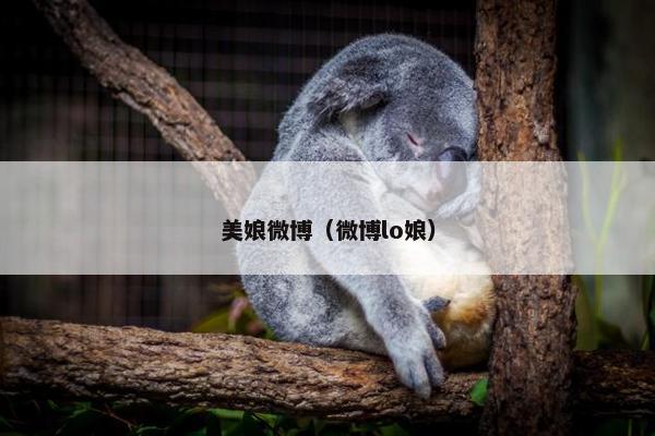 美娘微博（微博lo娘）