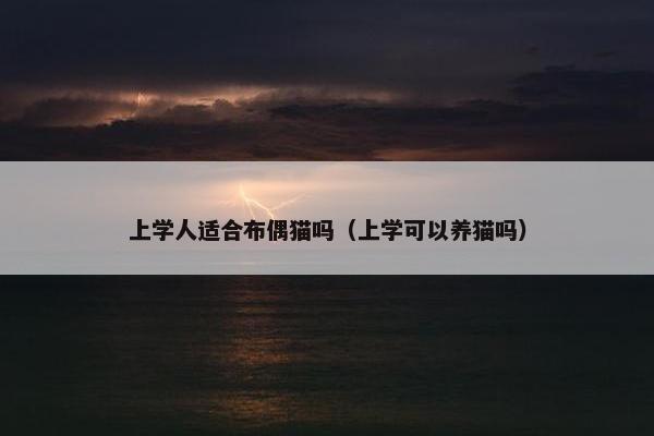 上学人适合布偶猫吗（上学可以养猫吗）