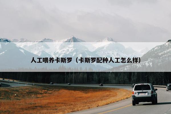 人工喂养卡斯罗（卡斯罗配种人工怎么样）