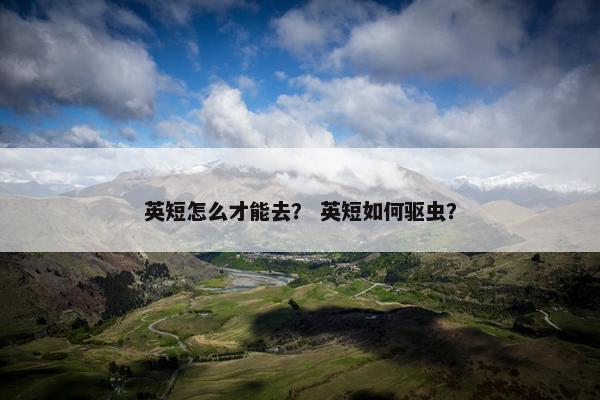 英短怎么才能去？ 英短如何驱虫？