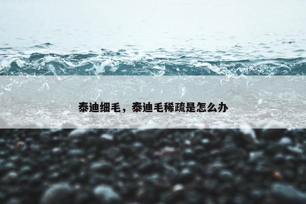 泰迪细毛，泰迪毛稀疏是怎么办