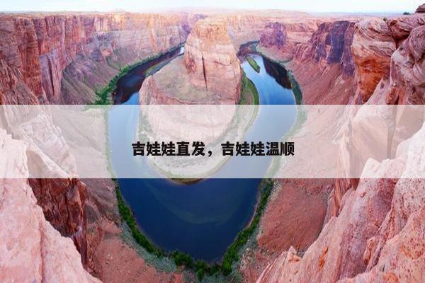 吉娃娃直发，吉娃娃温顺