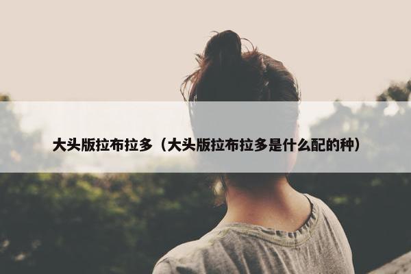 大头版拉布拉多（大头版拉布拉多是什么配的种）