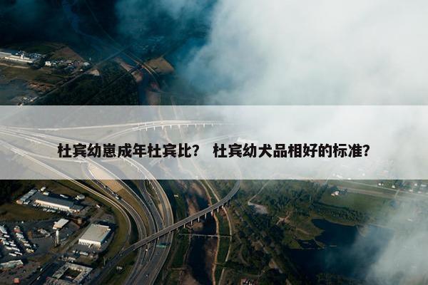 杜宾幼崽成年杜宾比？ 杜宾幼犬品相好的标准？