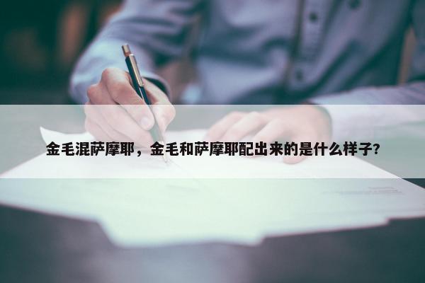 金毛混萨摩耶，金毛和萨摩耶配出来的是什么样子?