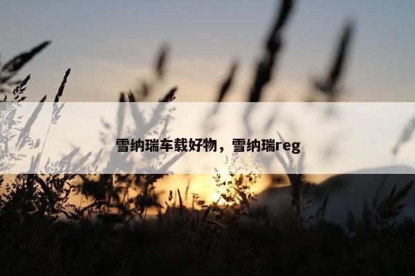 雪纳瑞车载好物，雪纳瑞reg