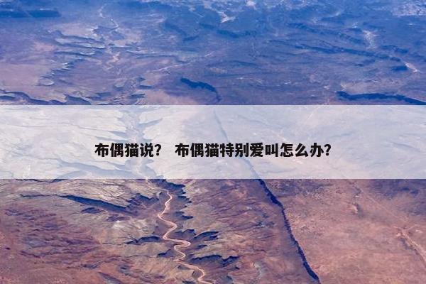 布偶猫说？ 布偶猫特别爱叫怎么办？