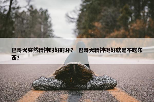 巴哥犬突然精神时好时坏？ 巴哥犬精神挺好就是不吃东西？