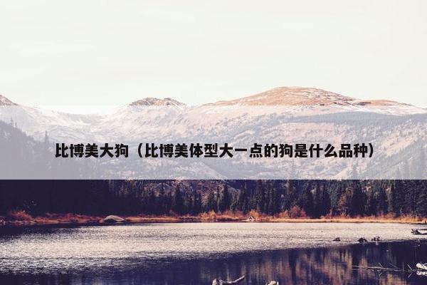 比博美大狗（比博美体型大一点的狗是什么品种）