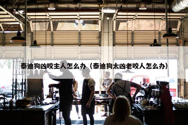 泰迪狗凶咬主人怎么办（泰迪狗太凶老咬人怎么办）