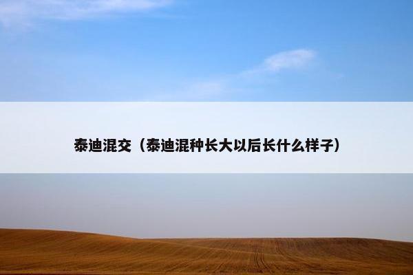 泰迪混交（泰迪混种长大以后长什么样子）